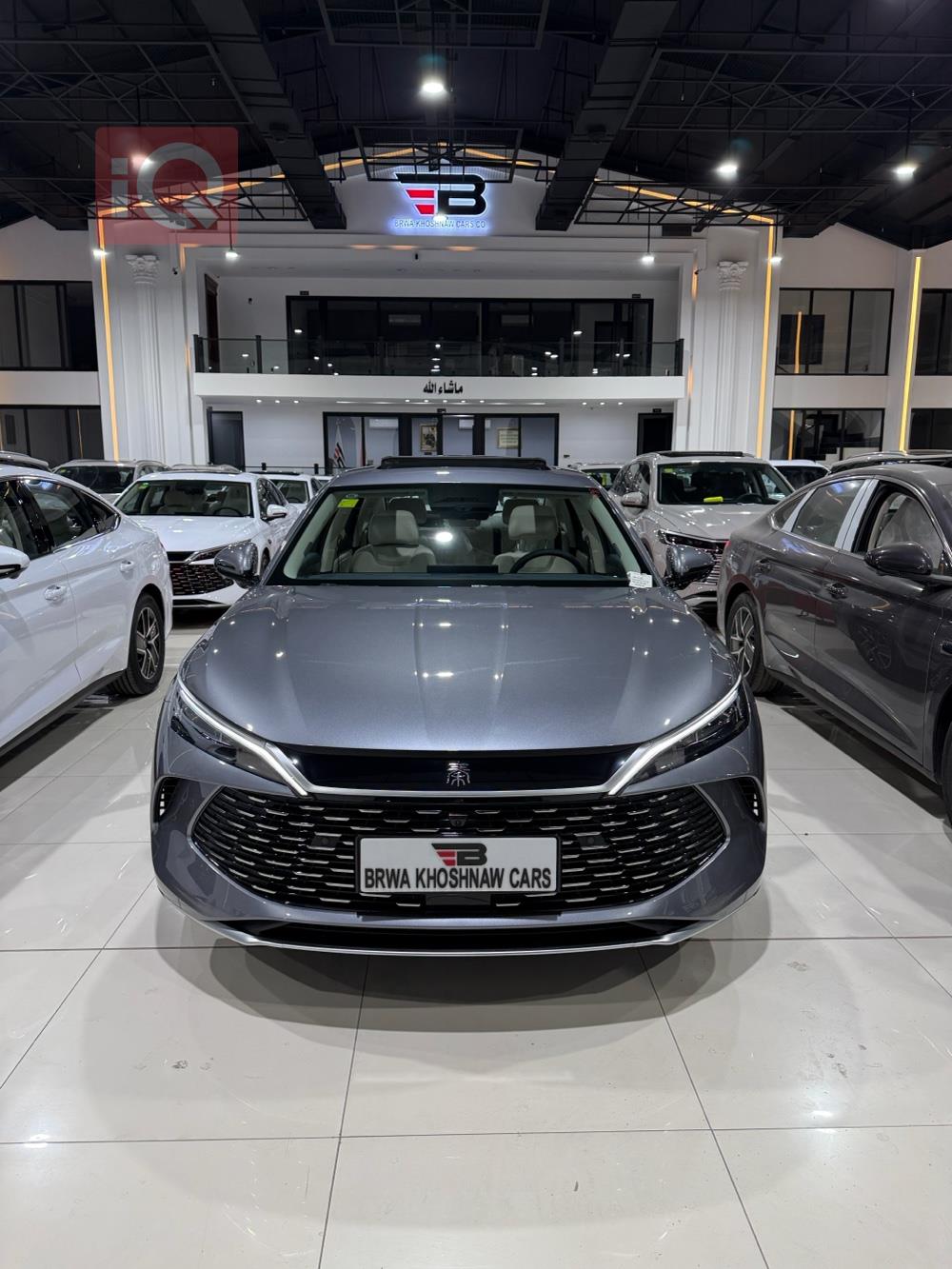 بي واي دي كوين L DM-i